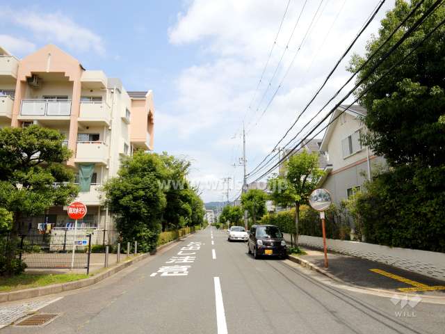 敷地東側の前面道路