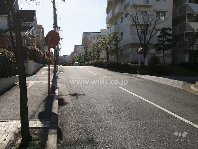 敷地東側の前面道路（北側から）