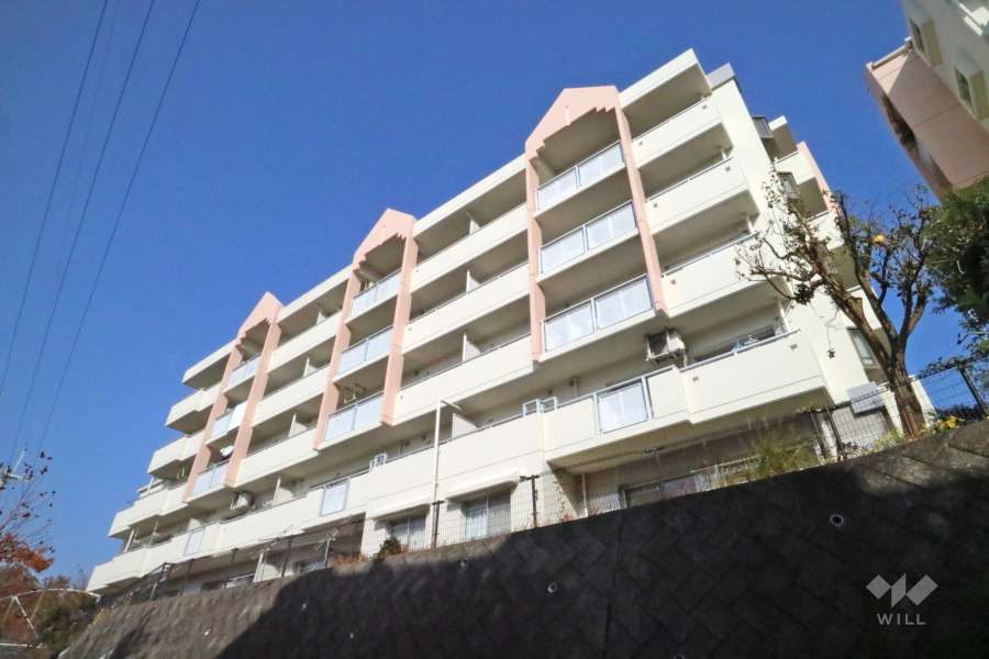 高槻阿武山二番街208号棟の外観(南西側から)