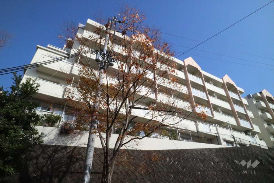 高槻阿武山二番街208号棟の外観(北西側から)