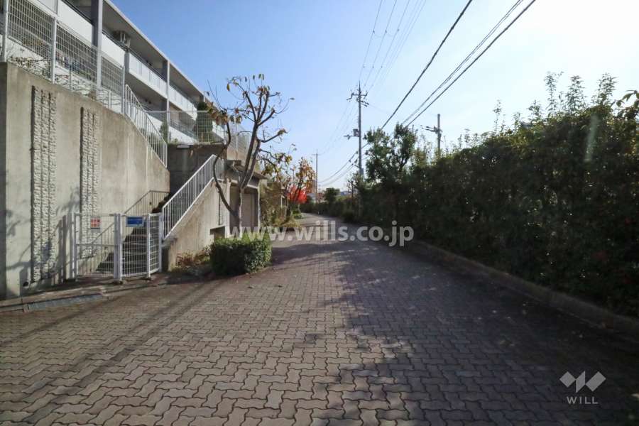 敷地南西側の前面道路1