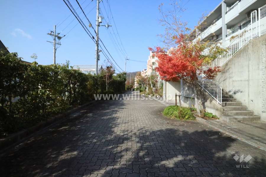 敷地南西側の前面道路2