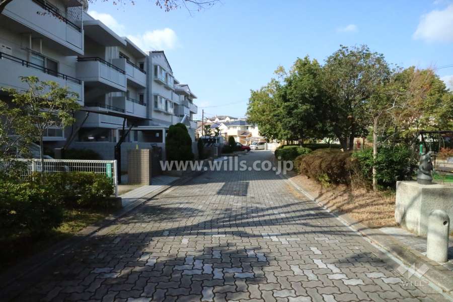 敷地北東側の前面道路