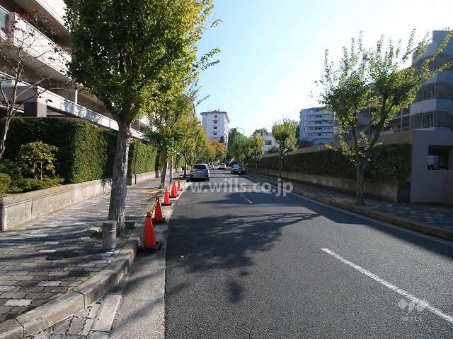 敷地南側の前面道路（西側から）