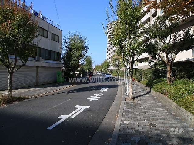 敷地南側の前面道路（東側から）