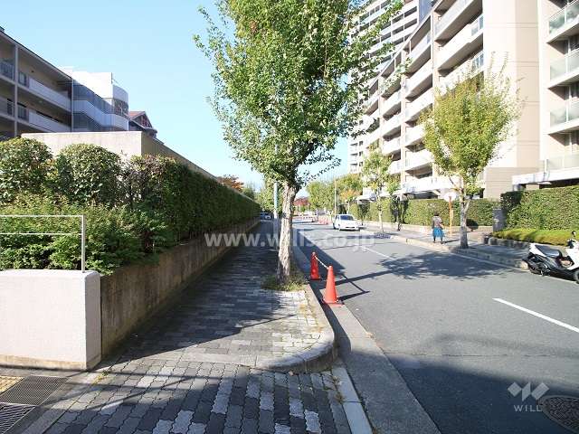 敷地北側の前面道路（東側から）