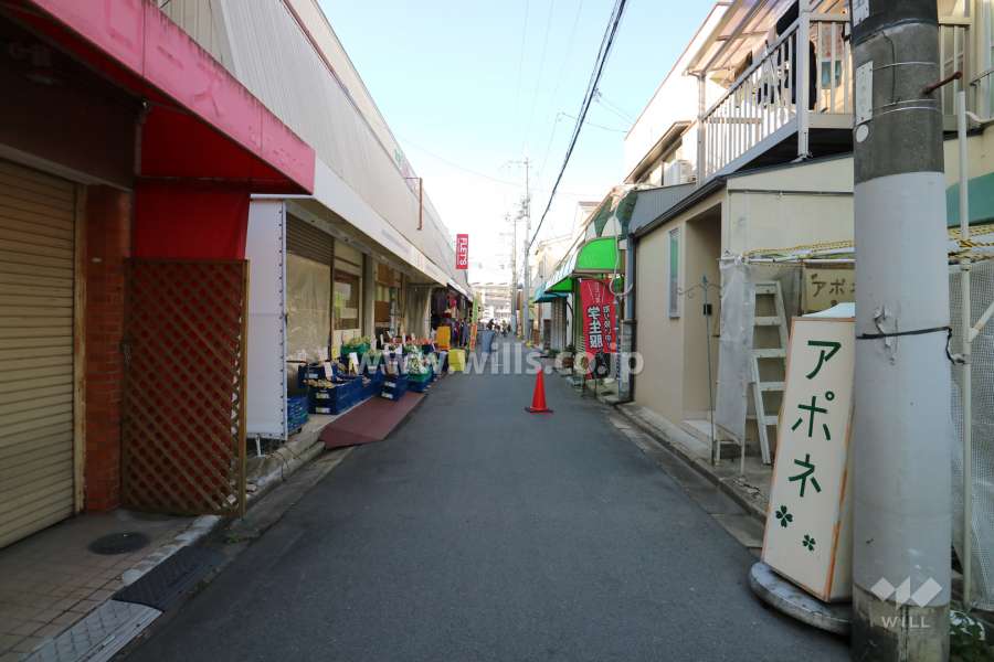 敷地北側の前面道路