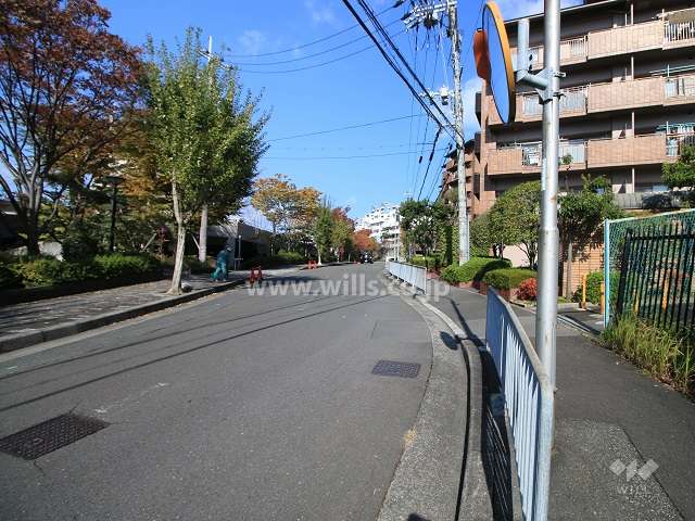 敷地西側の前面道路（南側から）