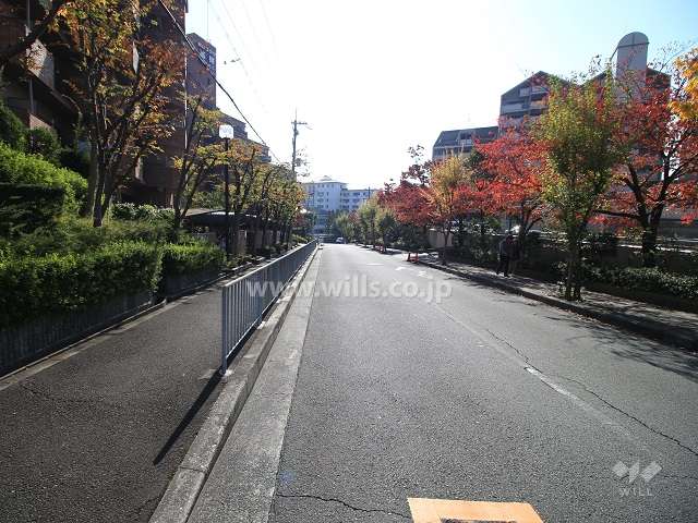 敷地西側の前面道路（北側から）