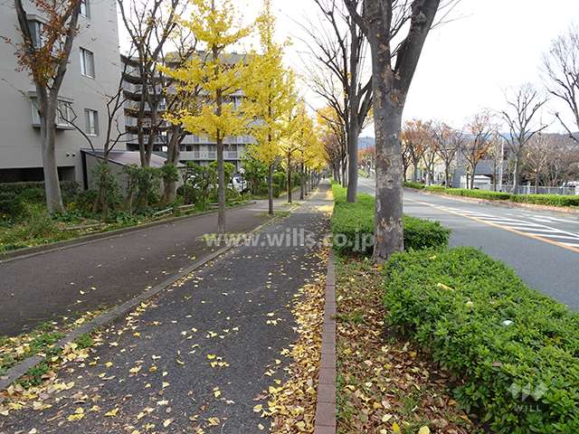 北側前面道路とマンション建物一部