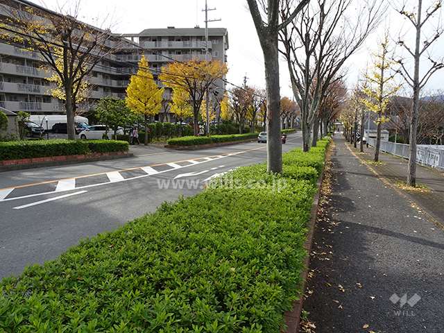 北側前面道路とマンション建物一部