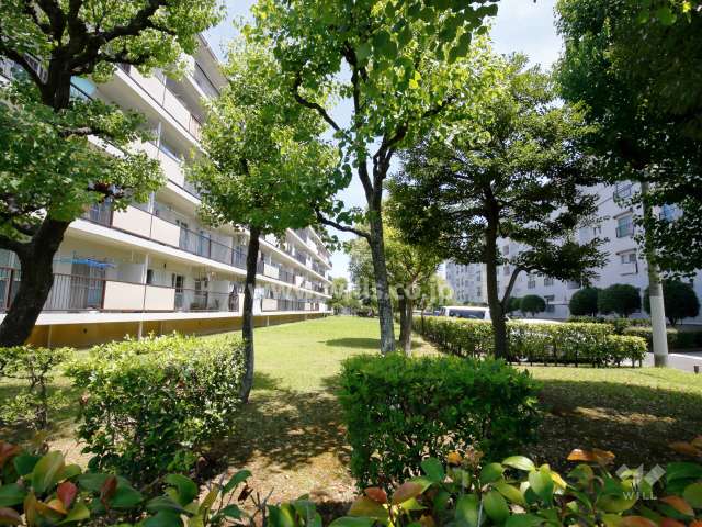 75棟南側の緑地