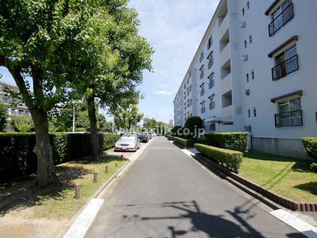 60棟北側の通路