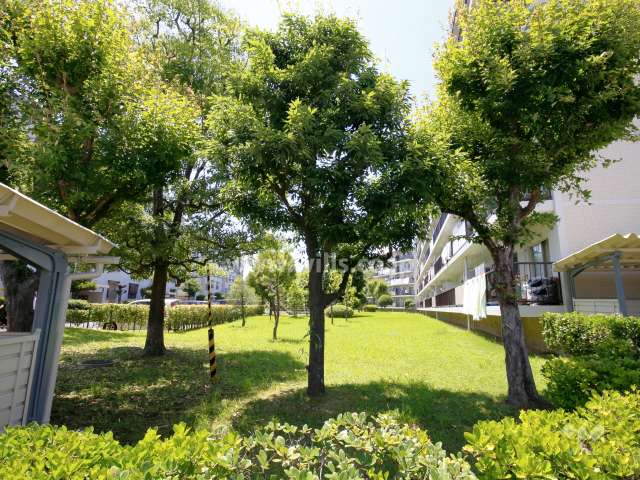 59棟南側の緑地