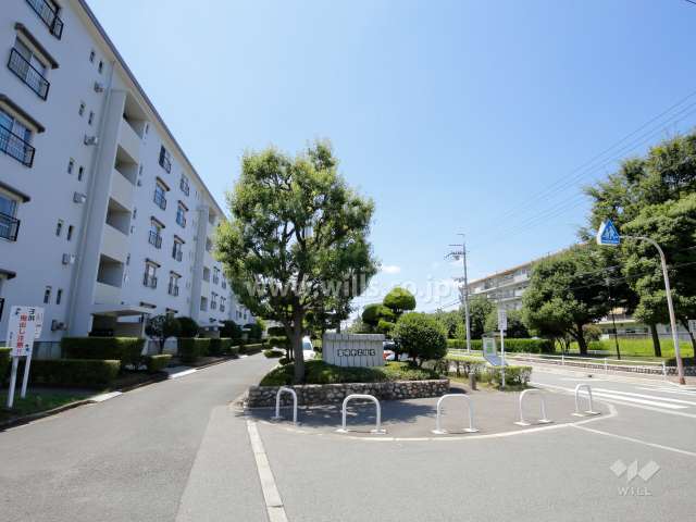 59棟は最も北側にある棟。二車線の通りに面していますが、交通量はそれほどありません。