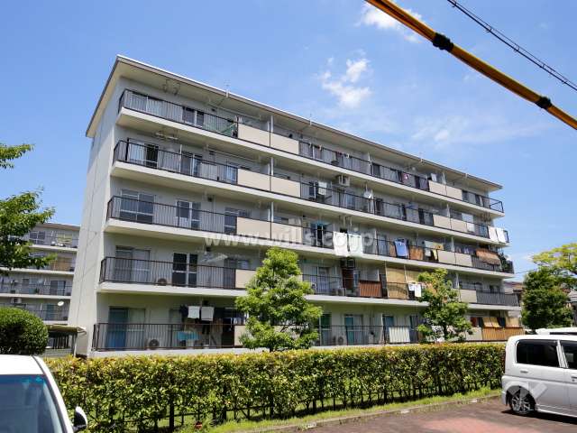 富田第二住宅66棟の外観（南西側から）