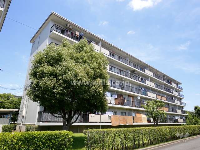 富田第二住宅67棟の外観（南西側から）