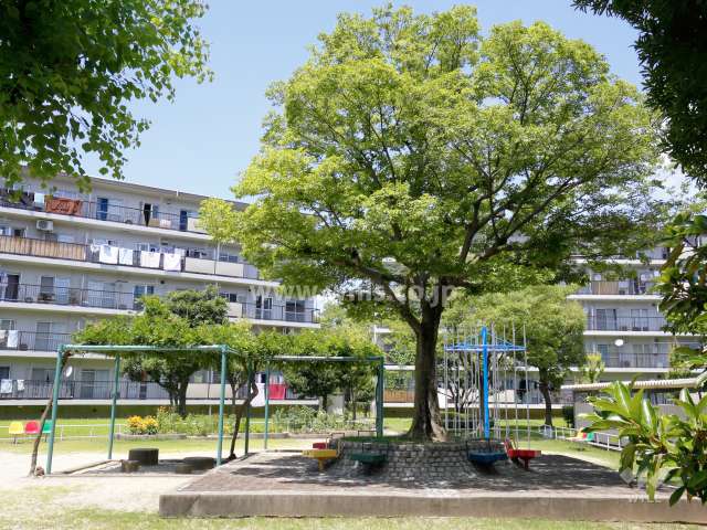 67棟の北側にある敷地内の公園（E公園）