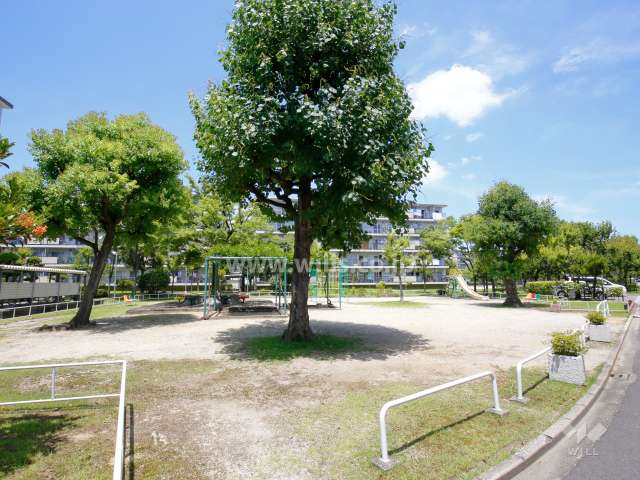 公園（C公園）には木々が茂り、遊具もあります。