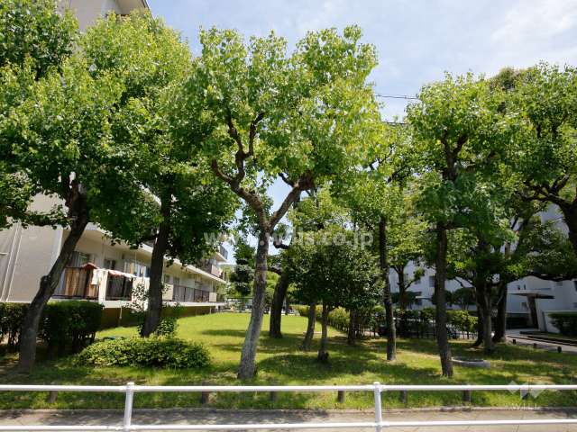 71棟の南側の緑地