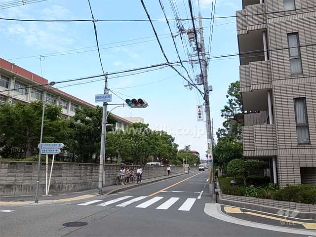敷地北側の前面道路。道を挟んで北側には桜塚高校があります。