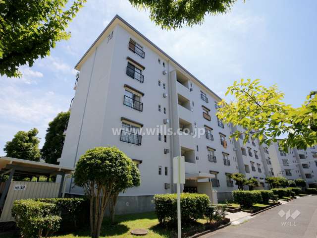 富田第二住宅74棟の外観（北東側から）