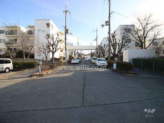 敷地内の中央道路（西側から）