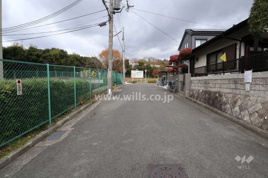 敷地東側の前面道路（北側から）