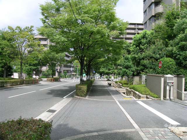 街路樹がきれいな前面道路