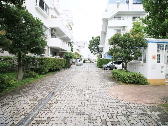 敷地西側の前面道路（北側から）