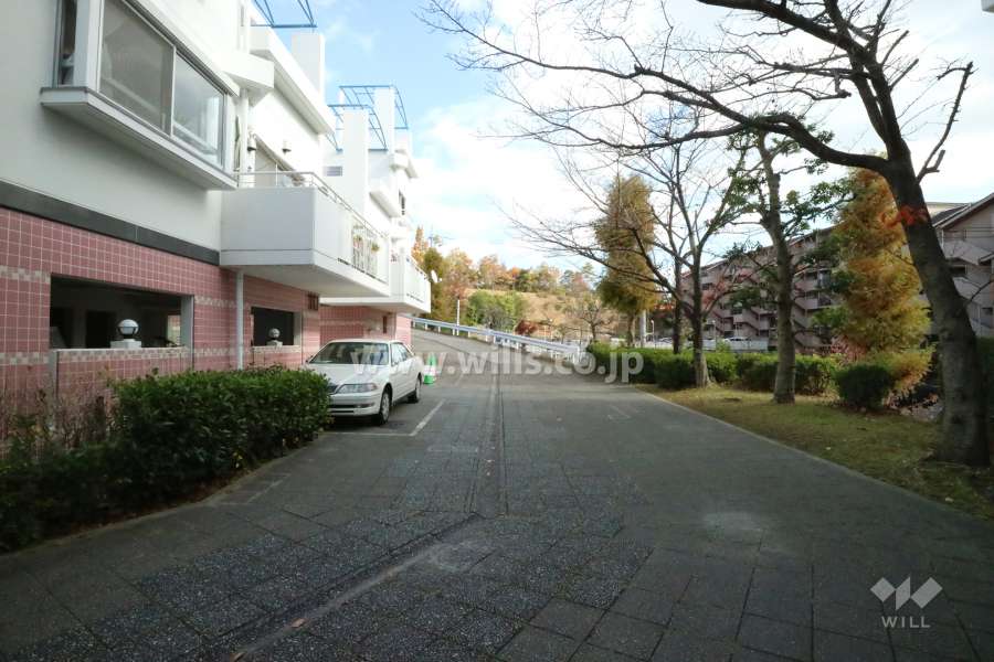 敷地南側の前面道路