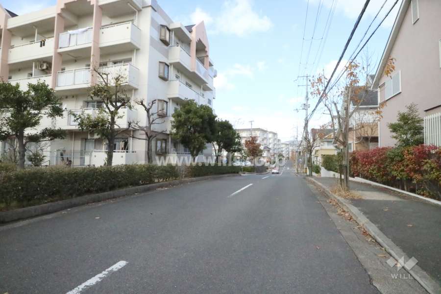 敷地東側の前面道路