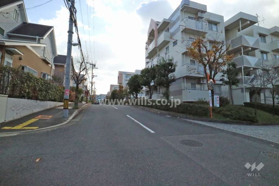 敷地東側の前面道路