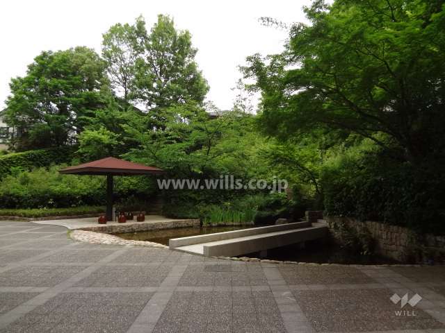 敷地内の緑豊かな庭園