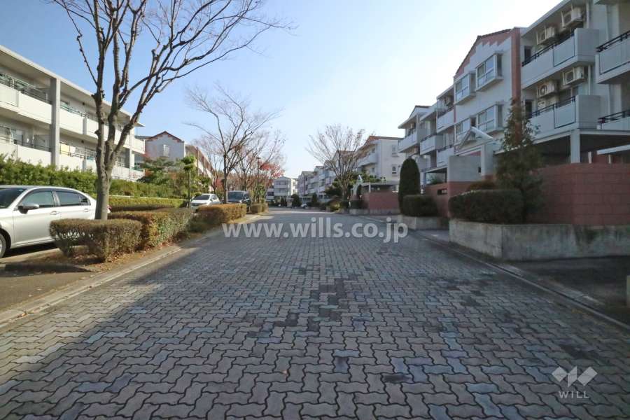 敷地の北東側前面道路