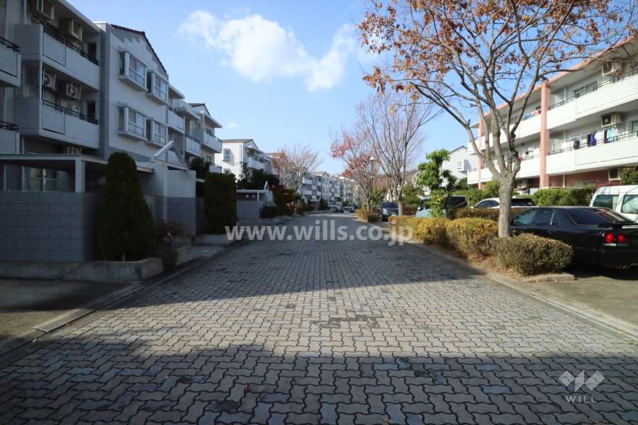 敷地北東側の前面道路