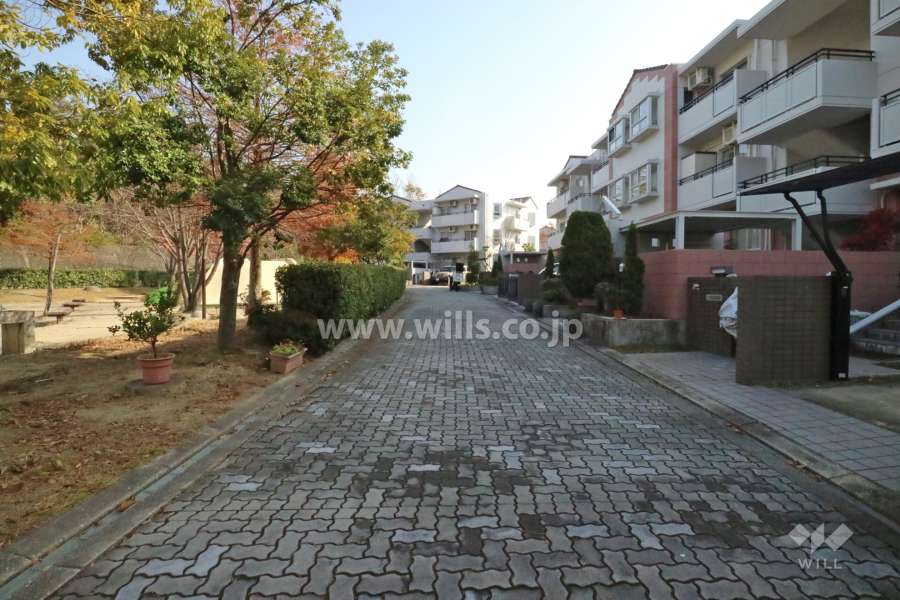 敷地北東側の前面道路