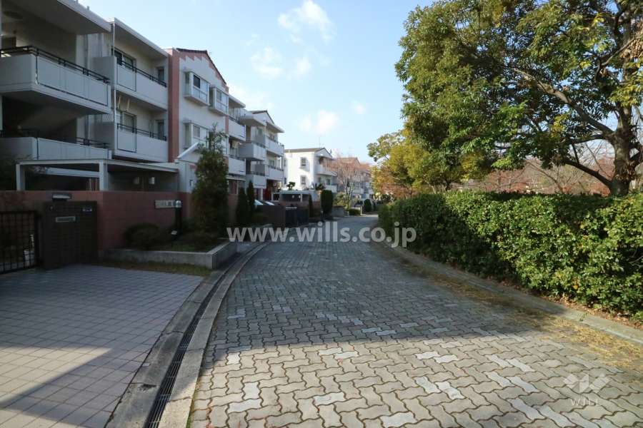 敷地北東側の前面道路