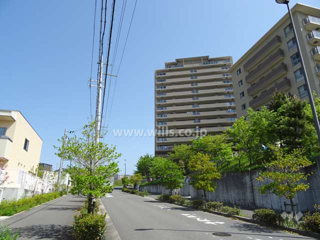 敷地東側の前面道路