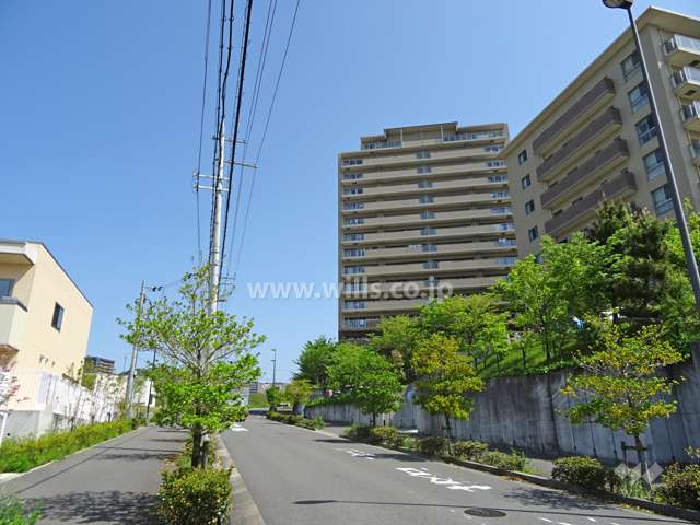 敷地東側の前面道路。