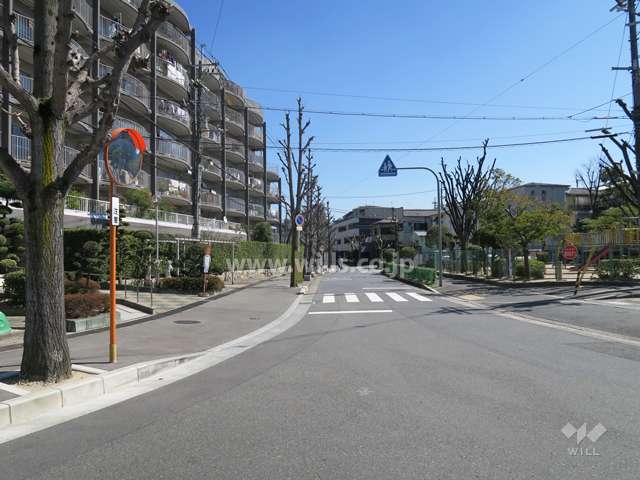 敷地南側の前面道路