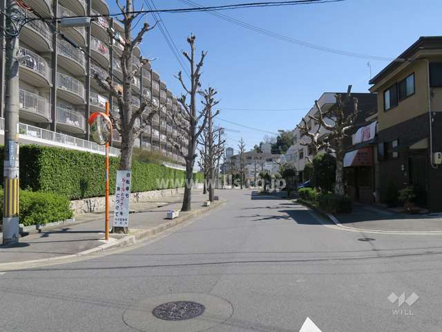 敷地南側の前面道路