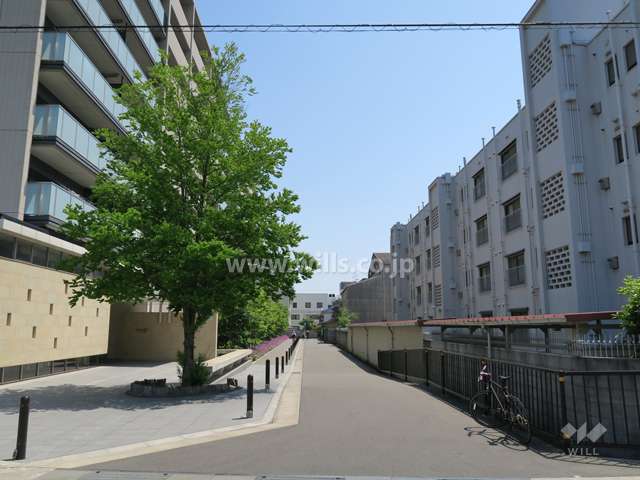 敷地南側の前面道路。