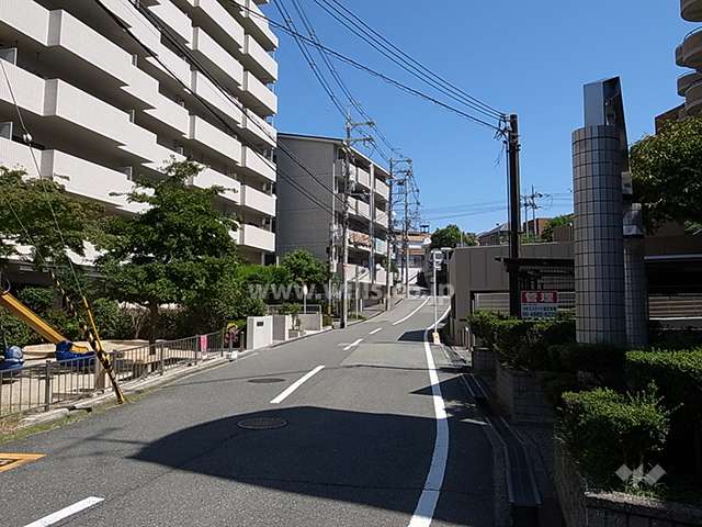 敷地南側の前面道路。周辺はマンションが多く立ち並ぶ静かな住宅地です。