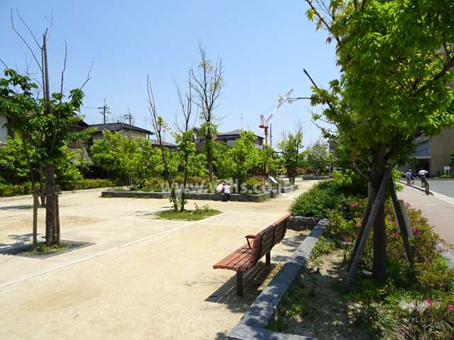 敷地東側にも公園があります。
