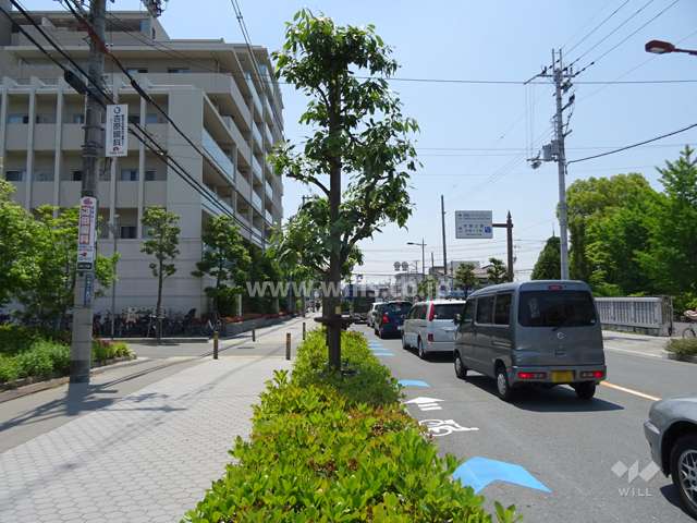 敷地南側は交通量の多い通りです。