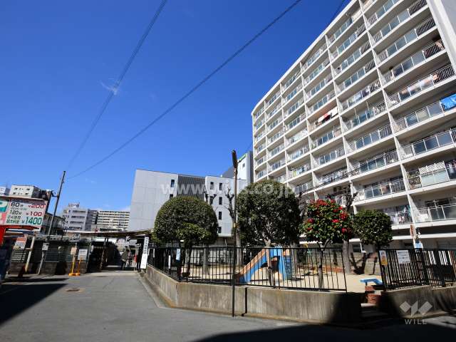 敷地南側の様子