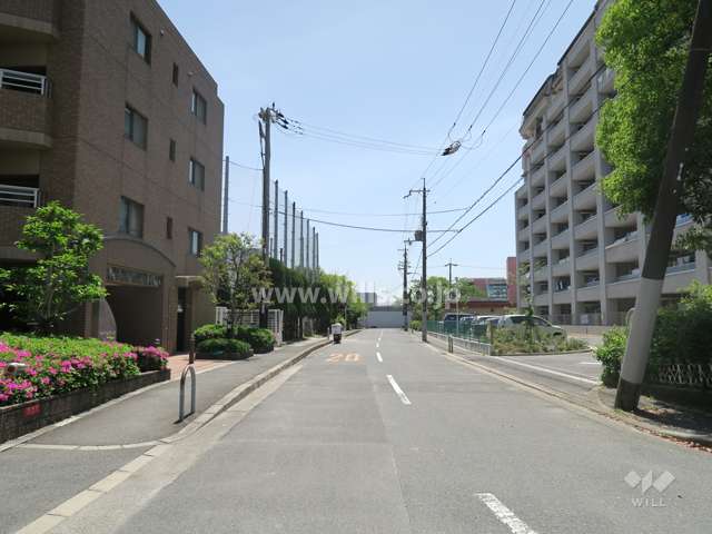 敷地西側の前面道路