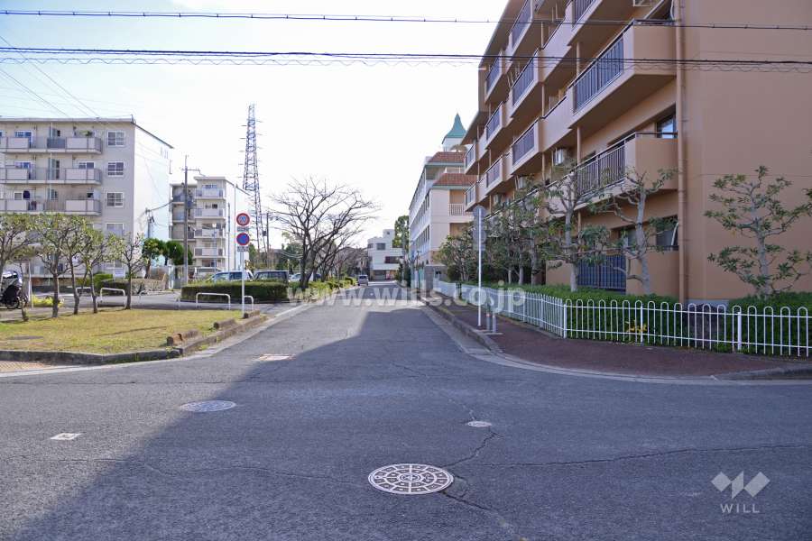 敷地の東側前面道路