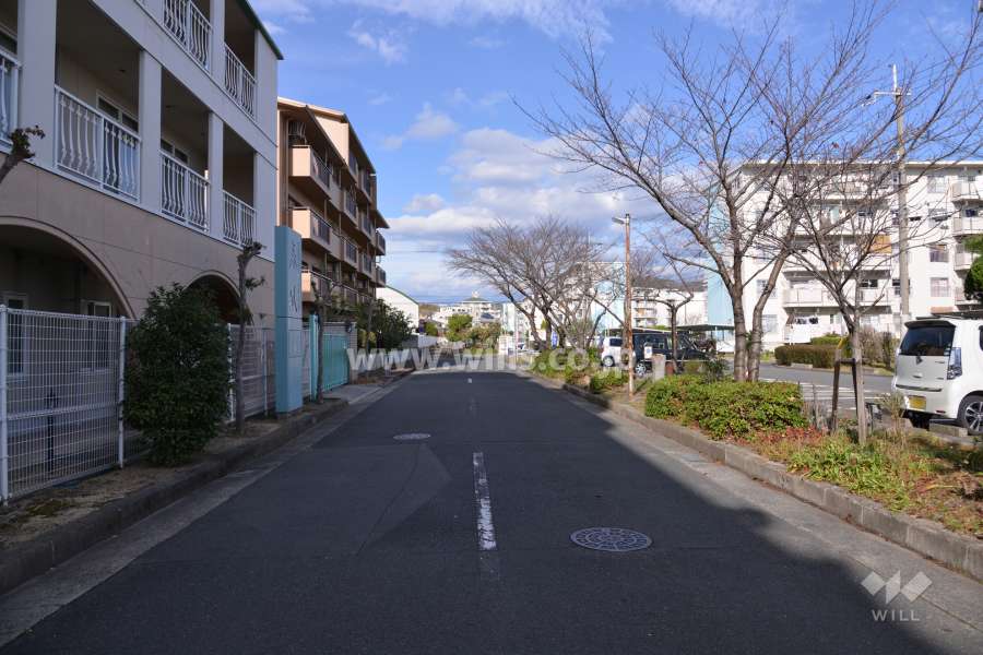 敷地の東側前面道路